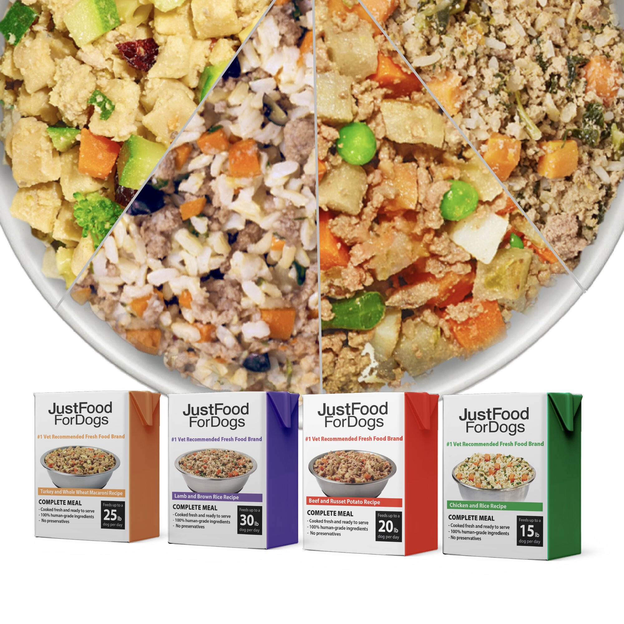 Sampler Variety Box | JustFoodForDogs
